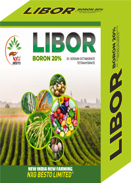 LIBOR